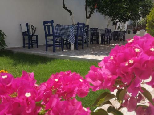 Hotel Lacivert Otel Akyaka