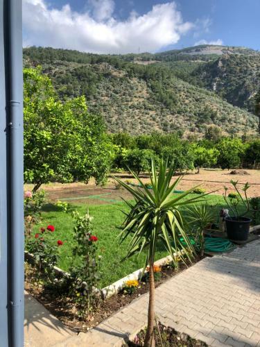 Apartamento G�kova Home?s