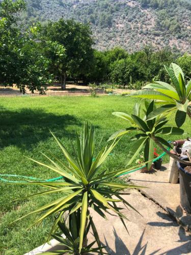 Apartamento G�kova Home?s