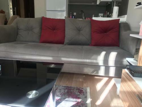 Apartamento Charming Nature (2 + 1)