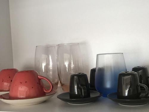 Apartamento Charming Nature (2 + 1)