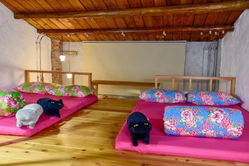 Jiufen Xiaomei Meow Seaview Homestay