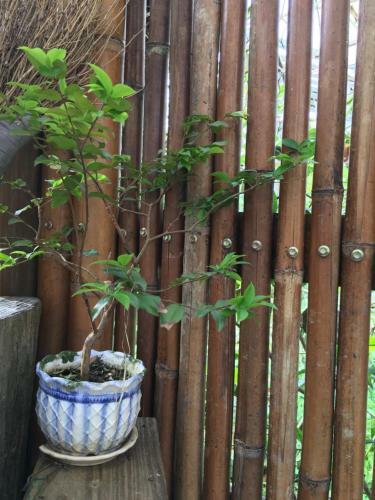 Jia's Homestay