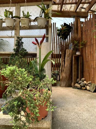 Jia's Homestay
