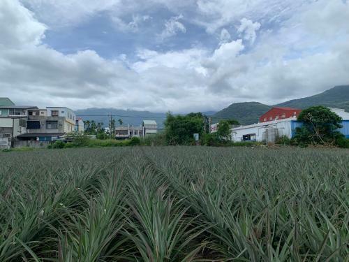 Awin?s Homestay