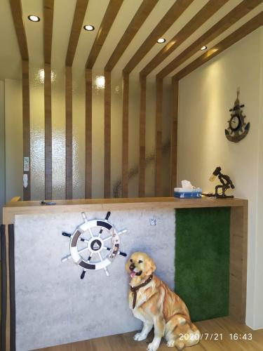 Xingyu Caiju Homestay