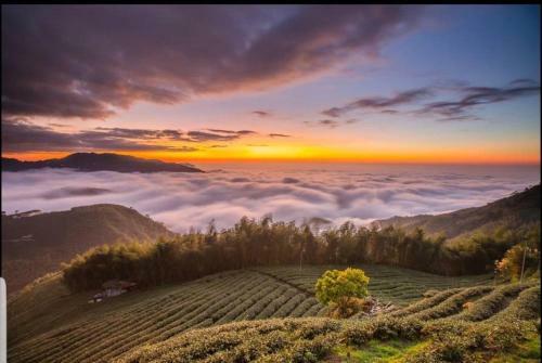 Xitou Zhanggui Homestay