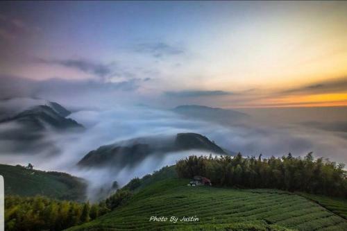 Xitou Zhanggui Homestay