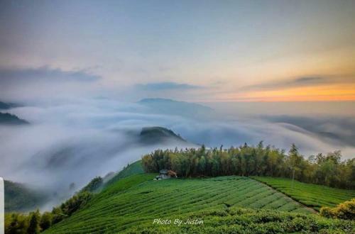 Xitou Zhanggui Homestay