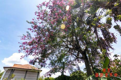 Wen Sha Bao Homestay