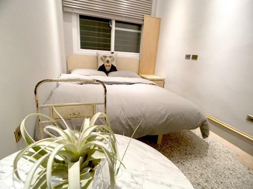 Apartamento Spring Guest House