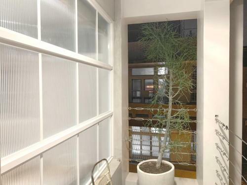Apartamento Spring Guest House