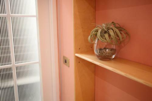 Apartamento Spring Guest House