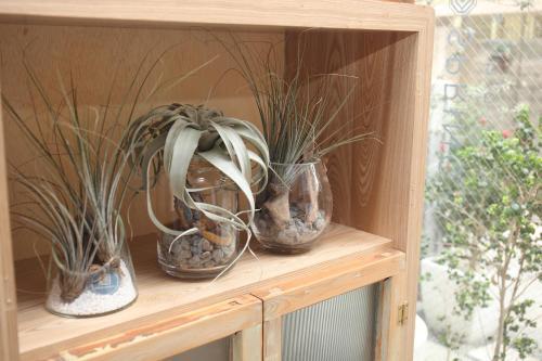 Apartamento Spring Guest House