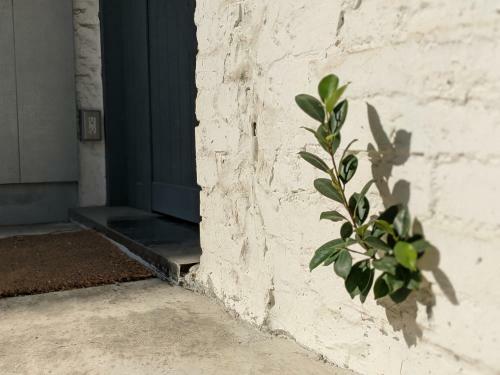 Qianmo - Cheng Tung Homestay