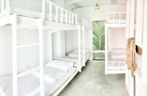 Cong Sen Backpackers Hostel