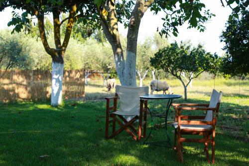 Apartamento Spasmeni Vrisi