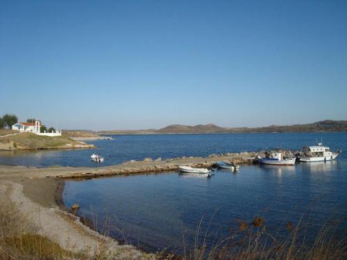 Apartamento Villa Lagosta