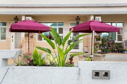 Square B&B
