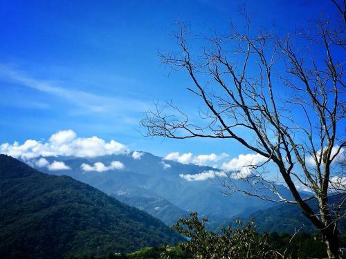 Bed & Breakfast Jing Stary Sky