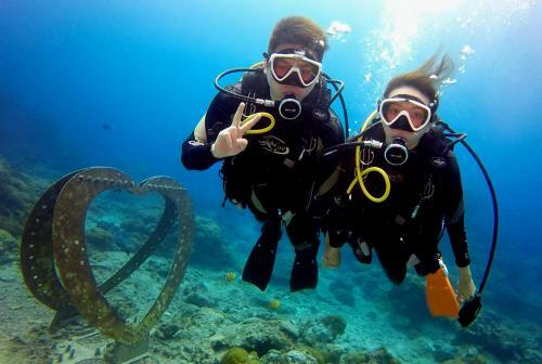 Diveholix Dive Hostel??-?????x??