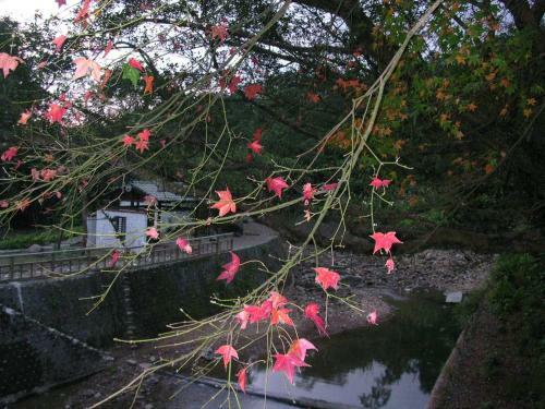 Bed & Breakfast Pingxi Palace Homestay