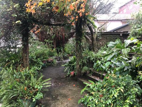 Jiufen Gourd Stone Treehouse 137