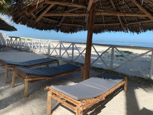 The African Paradise Beach Hotel