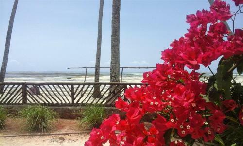 Villa Noah Beach Zanzibar
