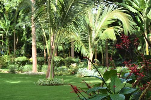 Hotel Chanya Lodge