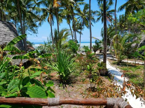 Hotel Coco Reef Ecolodge