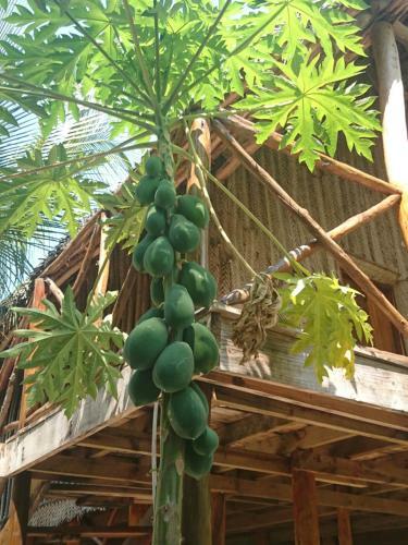 Hotel Coco Reef Ecolodge