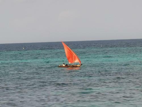 Hotel Coco Reef Ecolodge
