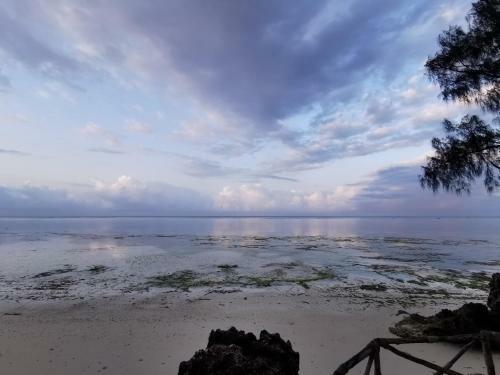 Hotel Coco Reef Ecolodge