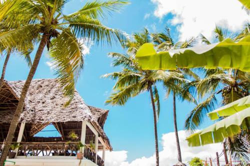 Maisha Matamu Beach Hotel Paje