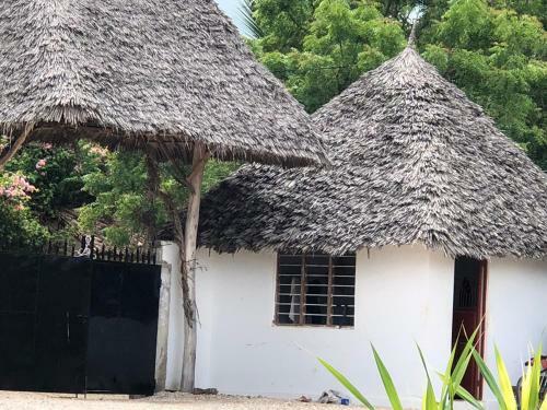 Hotel Shamba Lodge