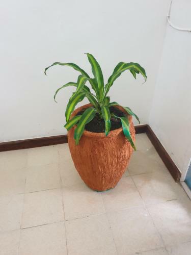 Dafu Boutique Hotel Stonetown