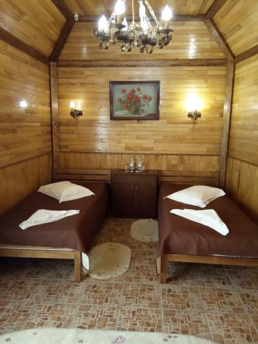 Albergue ?????? 24