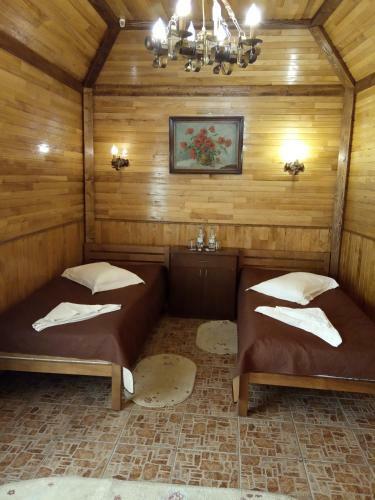 Albergue ?????? 24