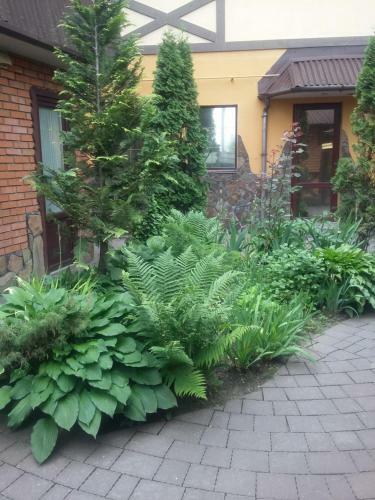 Albergue ?????? 24