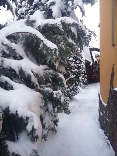 Albergue ?????? 24