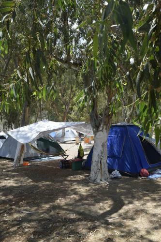 Camping Kea