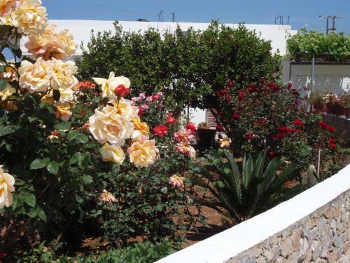Apartamento Villas Michalis