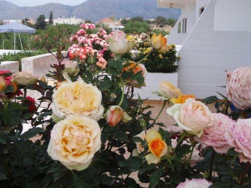 Apartamento Villas Michalis
