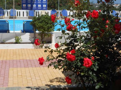 Apartamento Villas Michalis
