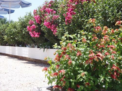 Apartamento Villas Michalis