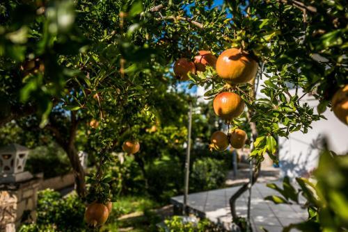Apartamento Avouris Studios