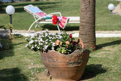 Apartamento Aneria Suites