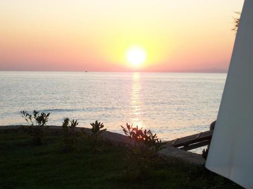 Hostal Stefania Apartments