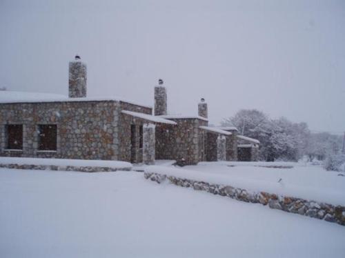 Agriorodo